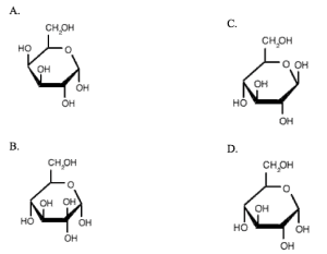 Mcat Organic Chemistry Question Carbohydrates Next Step Test Prep