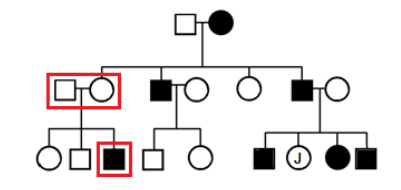 autosomal dominant pedigree