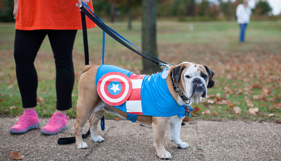 BPPhank-lsat-blog-caption-contest-200-off-online-lsat-prep-course-10-25-13