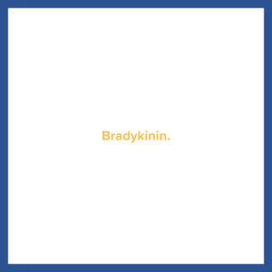 USMLE flashcard that reads: Bradykinin.