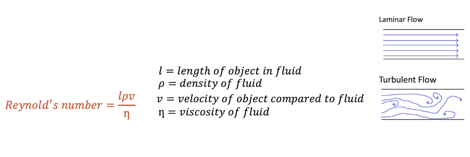 Types of Flow in Fluid Dynamics MCAT
