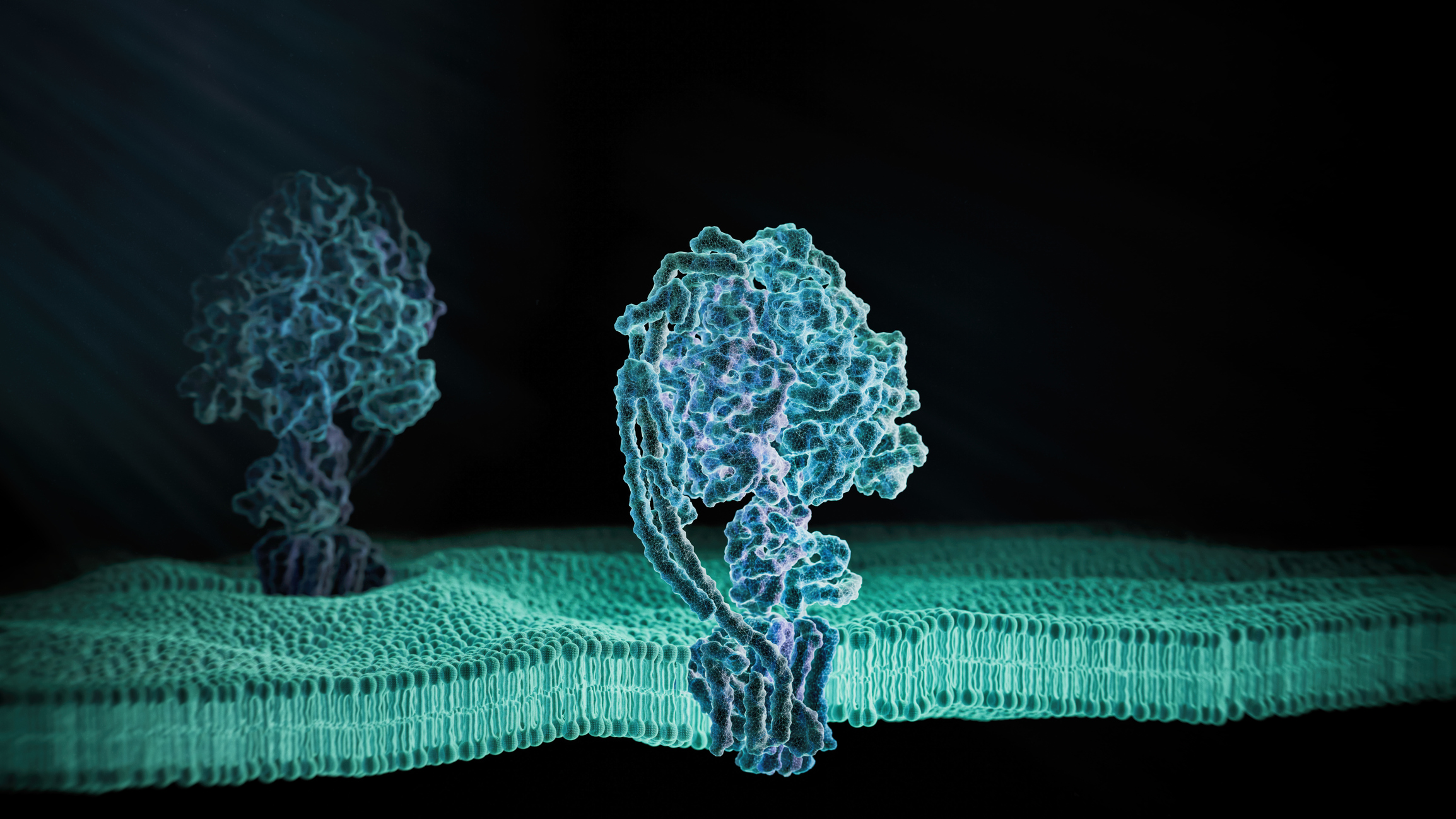 fatty acid synthesis mcat ATP Synthase Protein - 3d rendered image. Medical microbiology concept. Structure and conformational states of the bovine mitochondrial ATP (Adenosine triphosphate) synthase. Chemical energy is synthesized in eukaryotic cells primarily. Hydrolase. Hologram view.