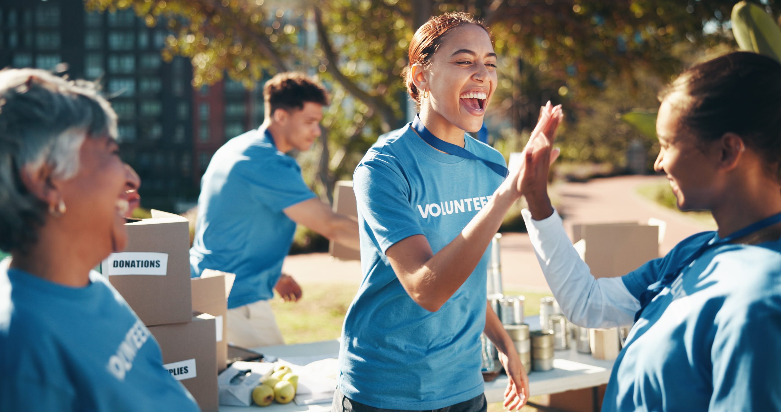 how many volunteer hours for medical school