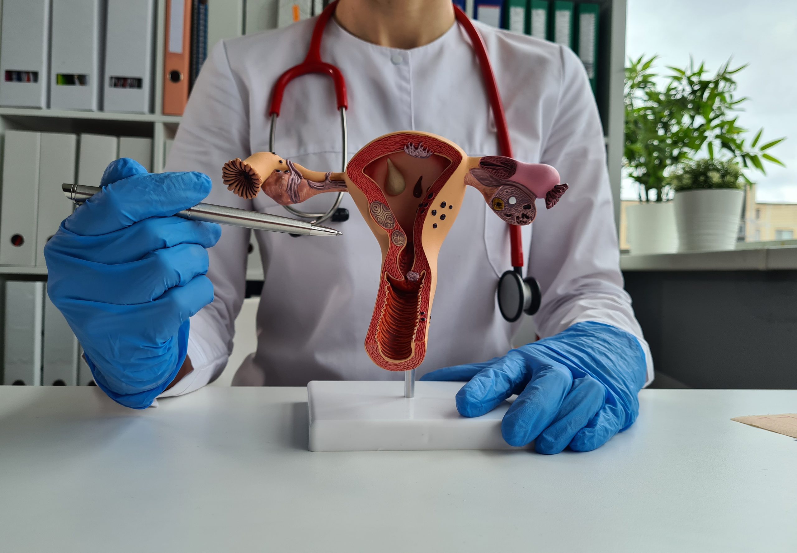 Here’s how to succeed on your OB/GYN rotation.